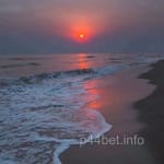 Avatar of Naima Khan